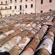 Costruzione e ristrutturazione edifici civili, rurali ed industriali